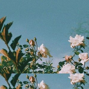 Meet your Posher, Han